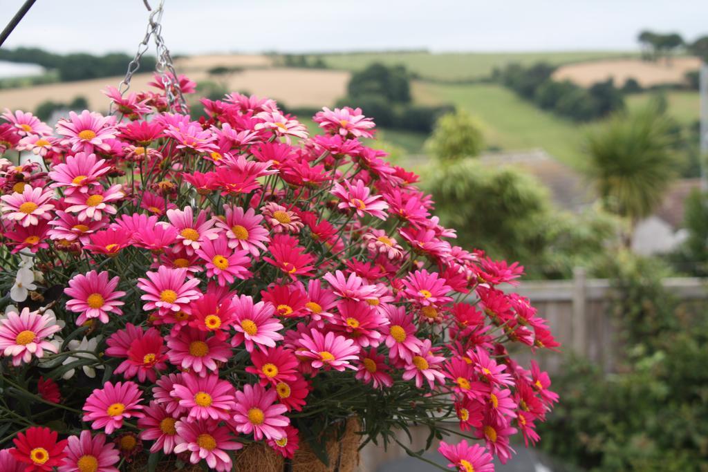 Linton Luxury Holiday Home Mevagissey Zewnętrze zdjęcie